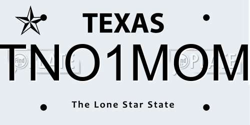 TNO1MOM Texas License Plate