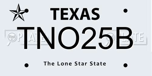 TNO25B Texas License Plate