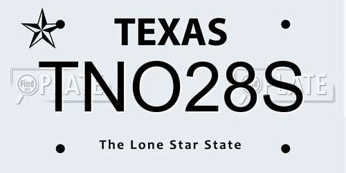 TNO28S Texas License Plate