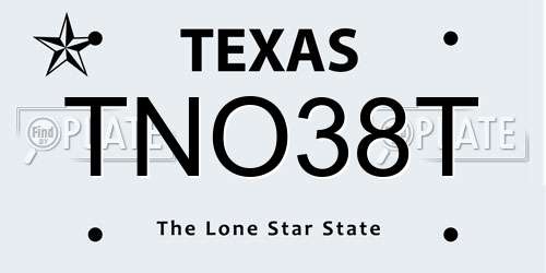 TNO38T Texas License Plate