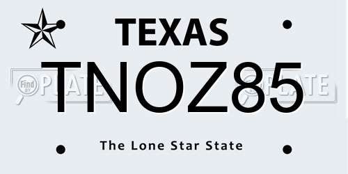TNOZ85 Texas License Plate