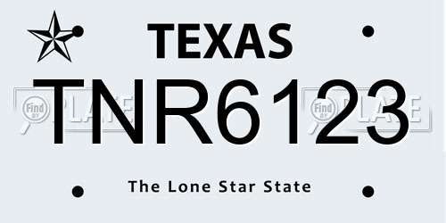TNR6123 Texas License Plate