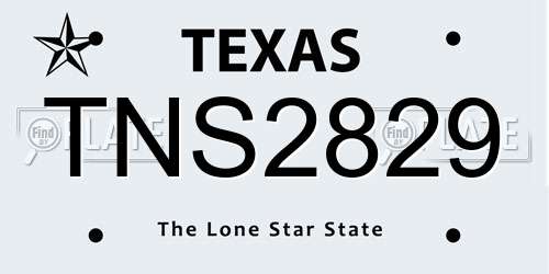 TNS2829 Texas License Plate