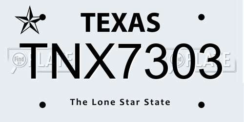 TNX7303 Texas License Plate