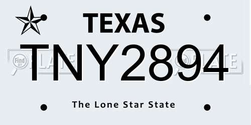 TNY2894 Texas License Plate