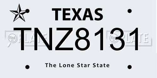 TNZ8131 Texas License Plate