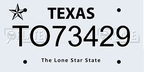 TO73429 Texas License Plate