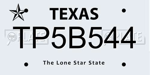 TP5B544 Texas License Plate