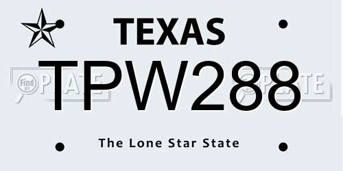 TPW288 Texas License Plate