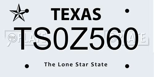 TS0Z560 Texas License Plate