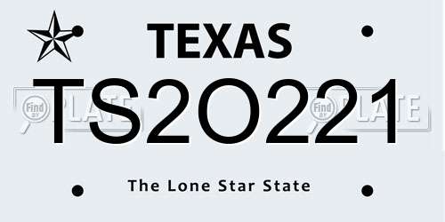 TS2O221 Texas License Plate