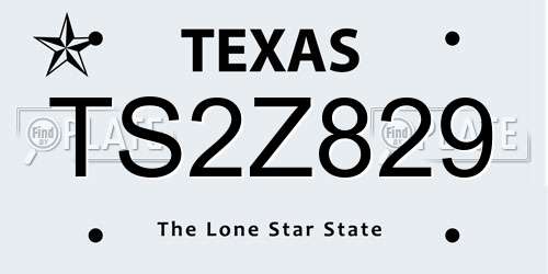 TS2Z829 Texas License Plate