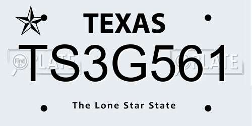 TS3G561 Texas License Plate