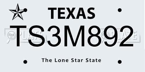 TS3M892 Texas License Plate