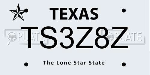 TS3Z8Z Texas License Plate