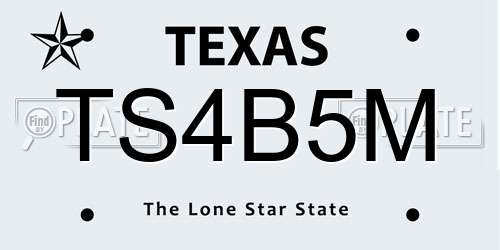TS4B5M Texas License Plate