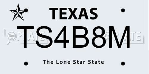 TS4B8M Texas License Plate
