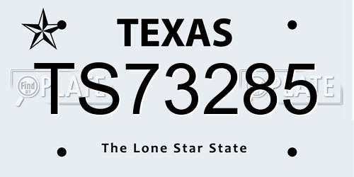 TS73285 Texas License Plate