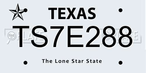 TS7E288 Texas License Plate