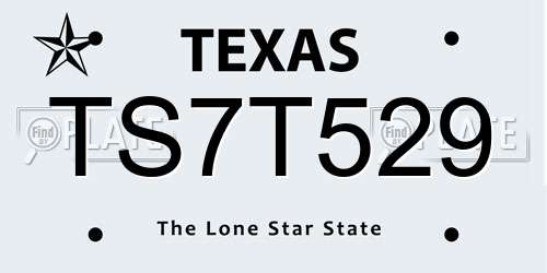 TS7T529 Texas License Plate