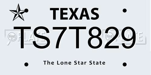 TS7T829 Texas License Plate