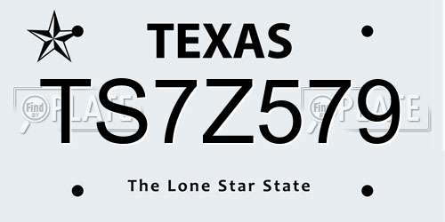 TS7Z579 Texas License Plate