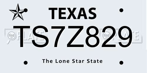 TS7Z829 Texas License Plate