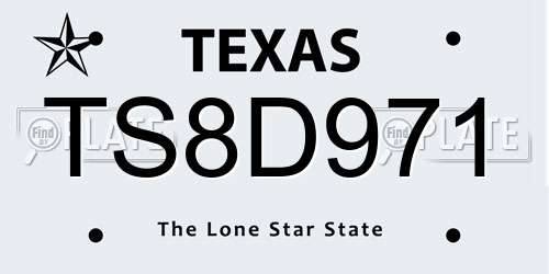 TS8D971 Texas License Plate