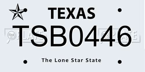 TSB0446 Texas License Plate