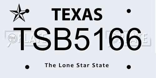 TSB5166 Texas License Plate