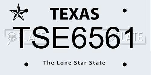 TSE6561 Texas License Plate