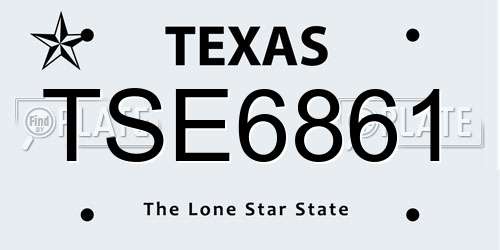 TSE6861 Texas License Plate