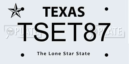 TSET87 Texas License Plate