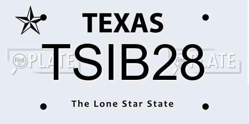 TSIB28 Texas License Plate