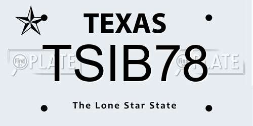 TSIB78 Texas License Plate