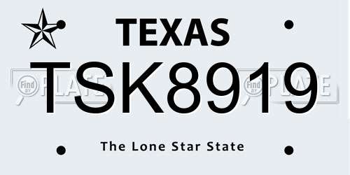 TSK8919 Texas License Plate