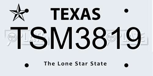 TSM3819 Texas License Plate