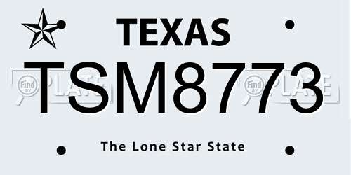 TSM8773 Texas License Plate