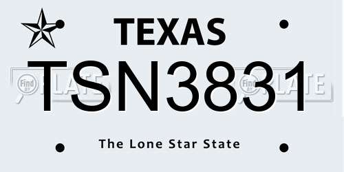 TSN3831 Texas License Plate