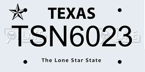 TSN6023 Texas License Plate