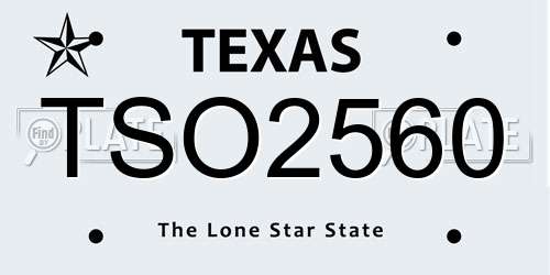 TSO2560 Texas License Plate