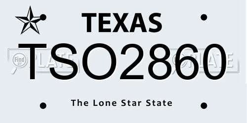 TSO2860 Texas License Plate