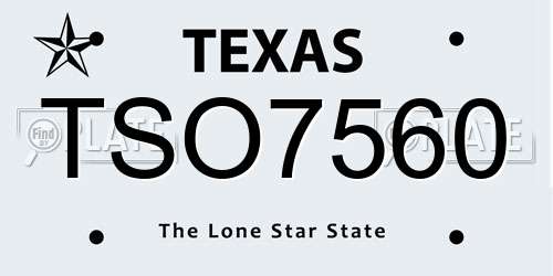 TSO7560 Texas License Plate
