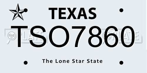 TSO7860 Texas License Plate