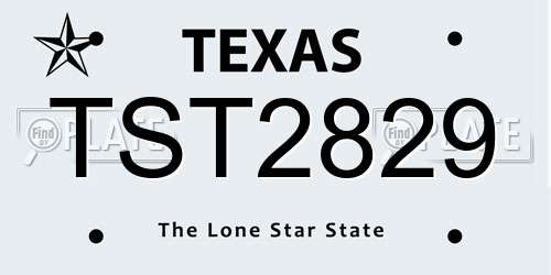 TST2829 Texas License Plate
