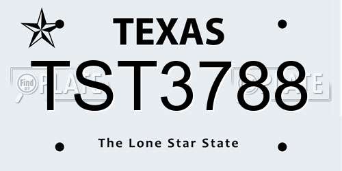 TST3788 Texas License Plate
