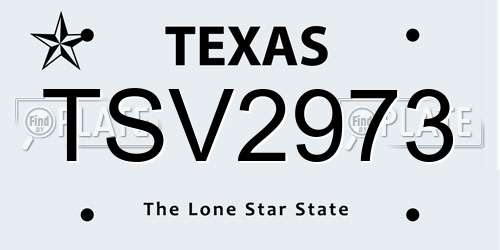 TSV2973 Texas License Plate