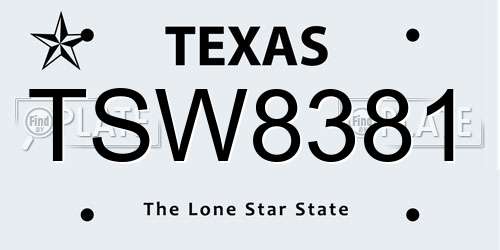 TSW8381 Texas License Plate