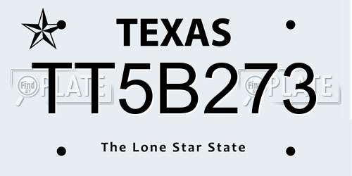 TT5B273 Texas License Plate