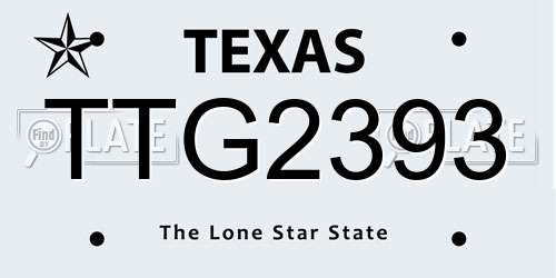 TTG2393 Texas License Plate